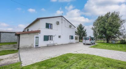 Casa indipendente / Villa 4 locali di 645 m² in Jolanda di Savoia (44037)