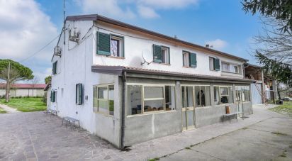 Casa indipendente / Villa 4 locali di 645 m² in Jolanda di Savoia (44037)