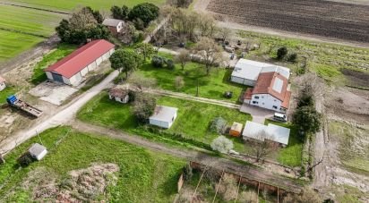 Casa indipendente / Villa 4 locali di 645 m² in Jolanda di Savoia (44037)