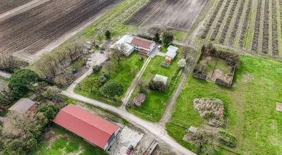 Casa indipendente / Villa 4 locali di 645 m² in Jolanda di Savoia (44037)