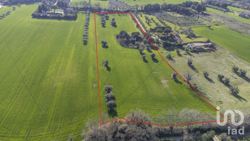 Land of 21,000 m² in Montecosaro (62010)