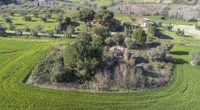 Land of 21,000 m² in Montecosaro (62010)