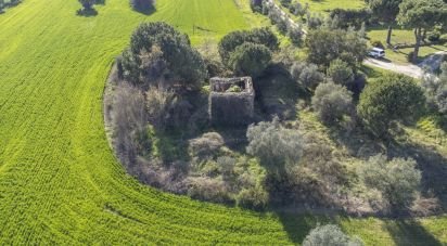 Land of 21,000 m² in Montecosaro (62010)