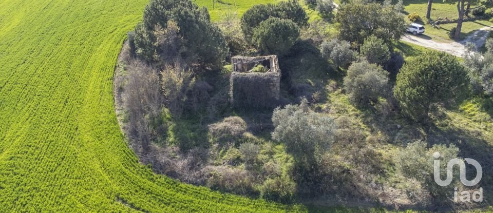 Land of 21,000 m² in Montecosaro (62010)