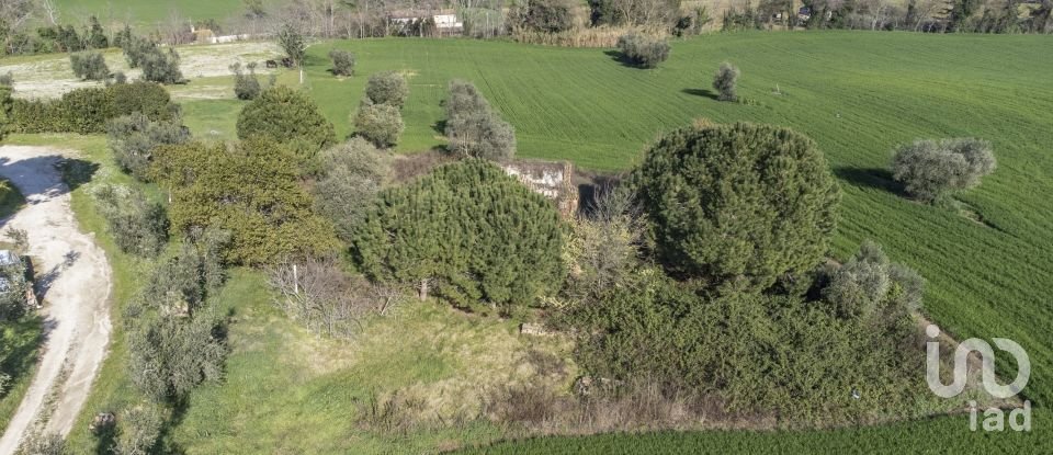 Land of 21,000 m² in Montecosaro (62010)