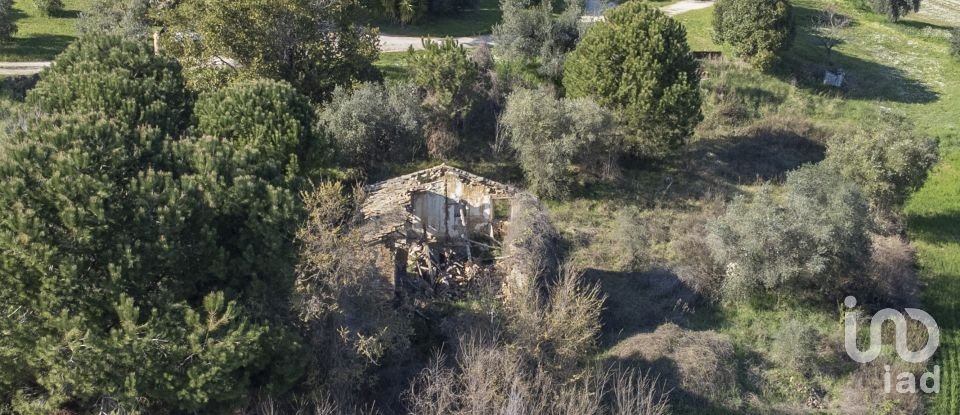 Land of 21,000 m² in Montecosaro (62010)