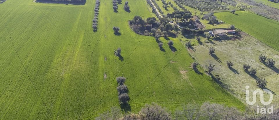 Land of 21,000 m² in Montecosaro (62010)