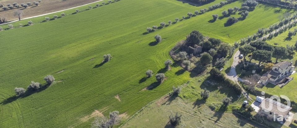 Land of 21,000 m² in Montecosaro (62010)
