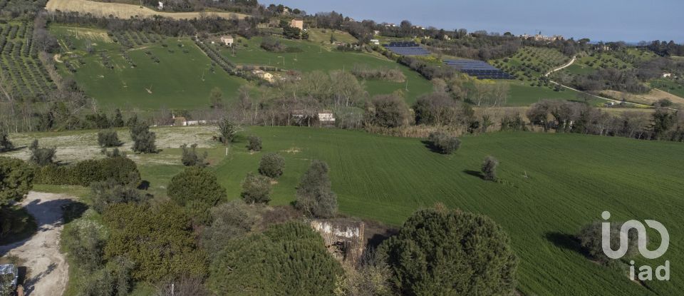 Land of 21,000 m² in Montecosaro (62010)