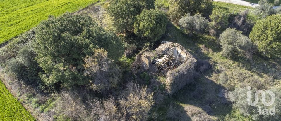 Land of 21,000 m² in Montecosaro (62010)
