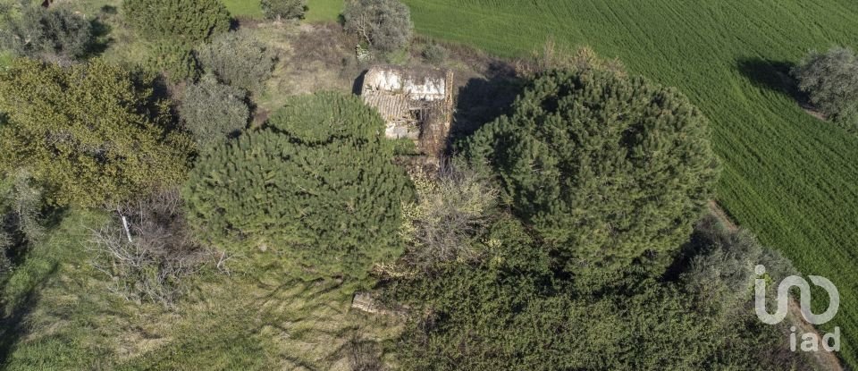 Land of 21,000 m² in Montecosaro (62010)