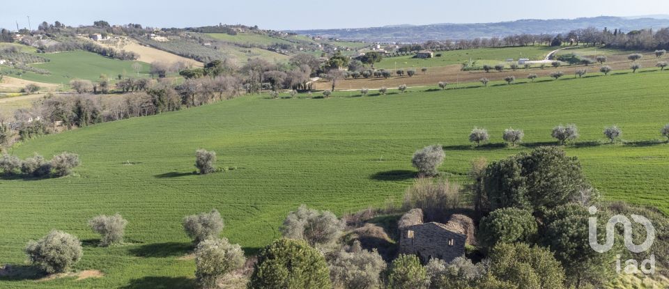 Land of 21,000 m² in Montecosaro (62010)
