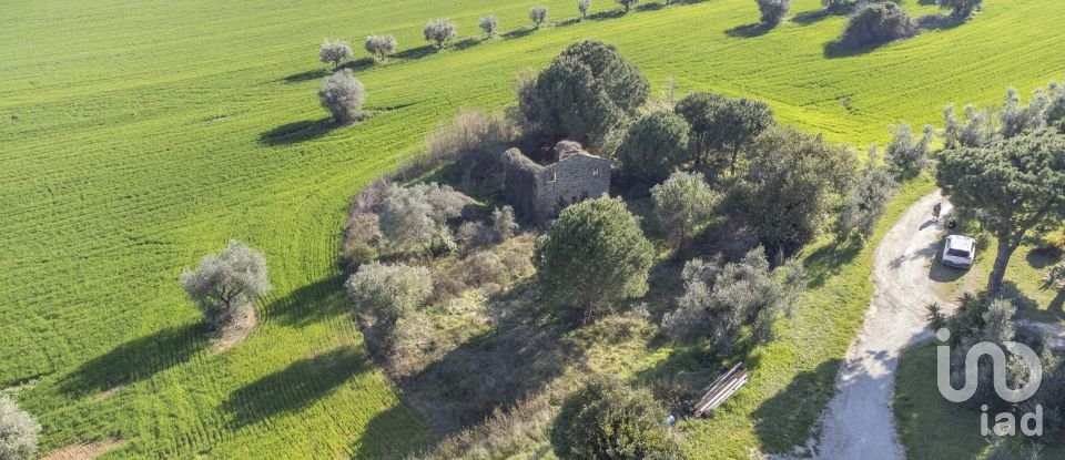 Land of 21,000 m² in Montecosaro (62010)