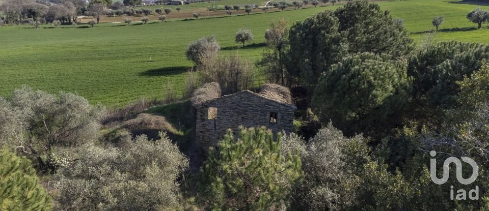 Land of 21,000 m² in Montecosaro (62010)