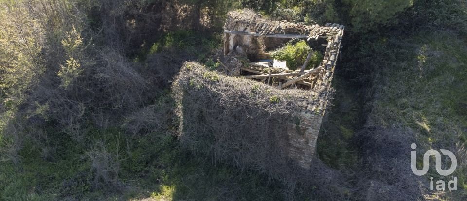 Land of 21,000 m² in Montecosaro (62010)