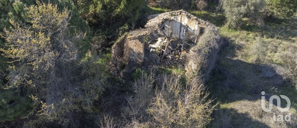 Land of 21,000 m² in Montecosaro (62010)