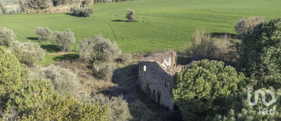 Land of 21,000 m² in Montecosaro (62010)