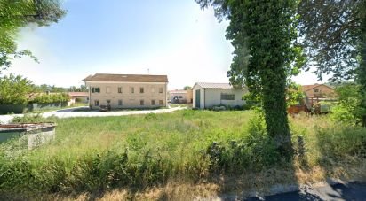 Attività locali di 150 m² in Recanati (62019)