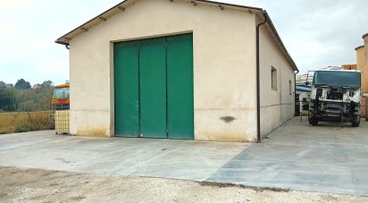 Attività locali di 150 m² in Recanati (62019)