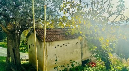 Casa indipendente / Villa 6 locali di 120 m² in Corropoli (64013)