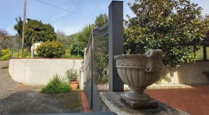 Appartamento 7 locali di 178 m² a Aiello Calabro (87031)