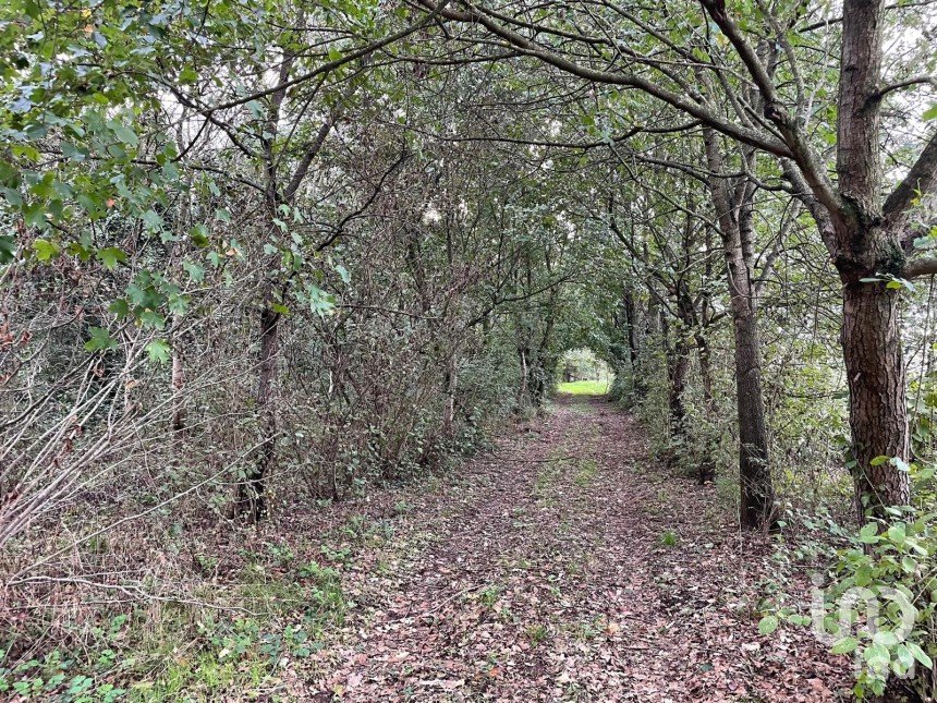 Terreno di 12.500 m² in Marmirolo (46045)