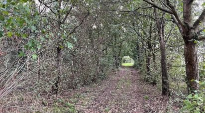 Terreno di 12.500 m² in Marmirolo (46045)