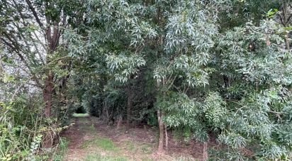 Terreno di 12.500 m² in Marmirolo (46045)