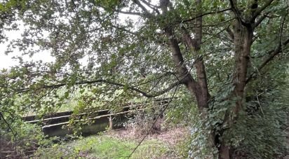 Terreno di 12.500 m² in Marmirolo (46045)