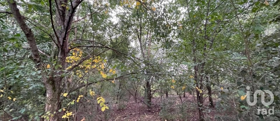 Terreno di 12.500 m² in Marmirolo (46045)