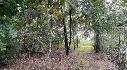 Terreno di 12.500 m² in Marmirolo (46045)