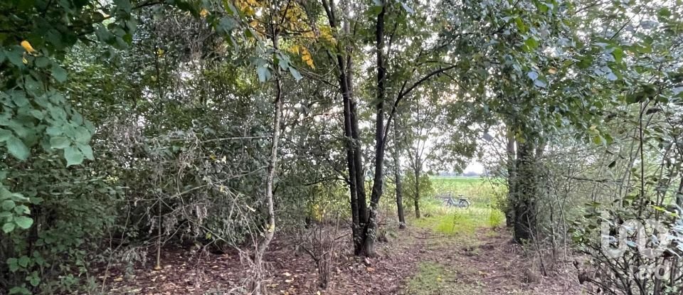 Terreno di 12.500 m² in Marmirolo (46045)