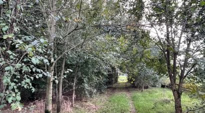 Terreno di 12.500 m² in Marmirolo (46045)