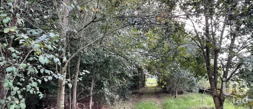 Terreno di 12.500 m² in Marmirolo (46045)