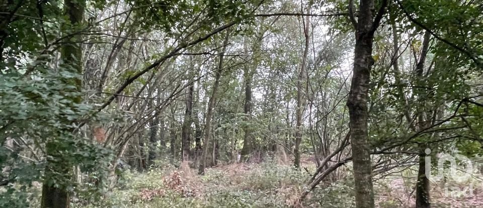 Terreno di 12.500 m² in Marmirolo (46045)