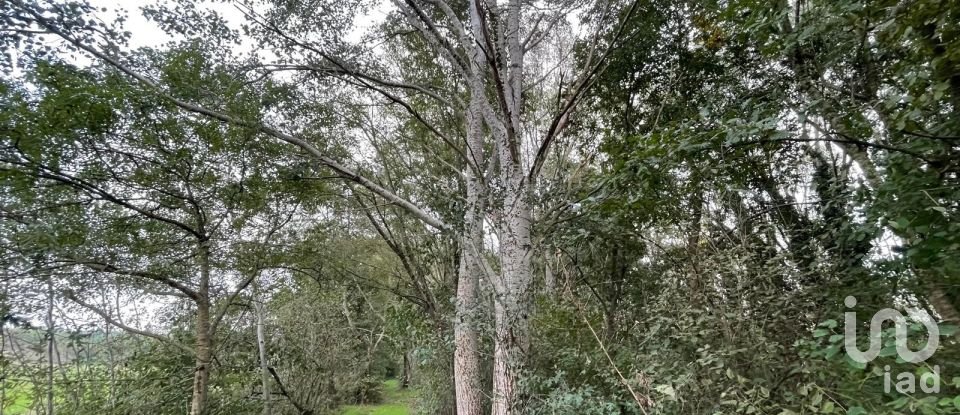 Terreno di 12.500 m² in Marmirolo (46045)