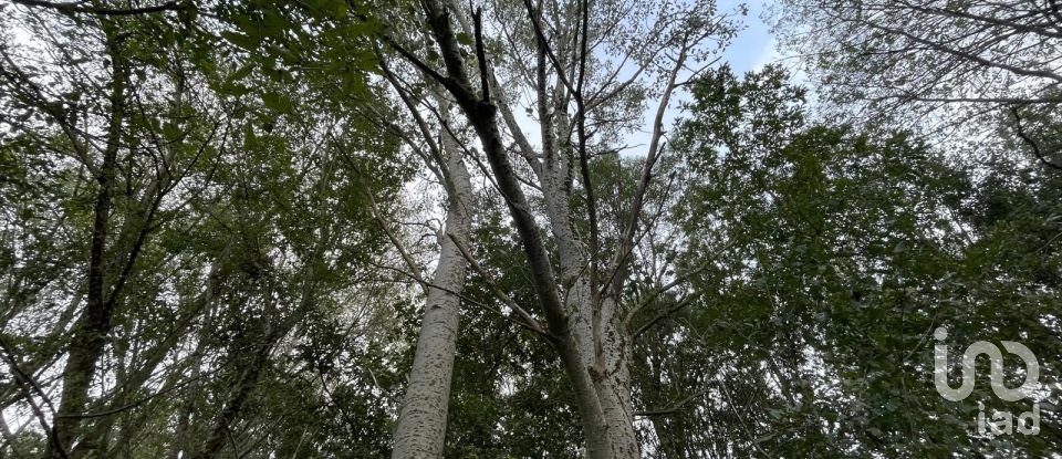 Terreno di 12.500 m² in Marmirolo (46045)