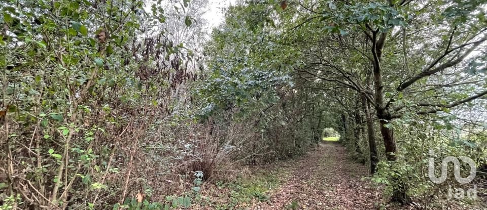 Terreno di 12.500 m² in Marmirolo (46045)