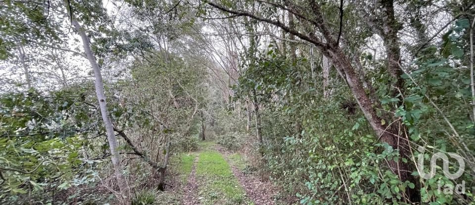 Terreno di 12.500 m² in Marmirolo (46045)