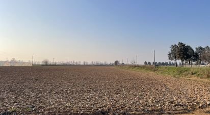 Terreno di 0 m² in Guidizzolo (46040)