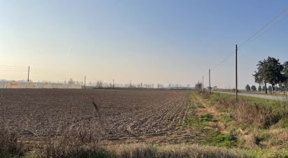 Terreno di 0 m² in Guidizzolo (46040)