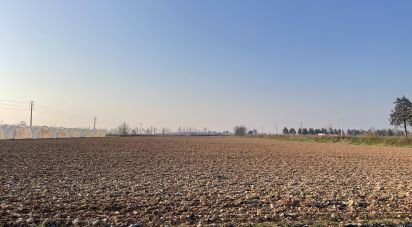 Terreno di 0 m² in Guidizzolo (46040)