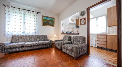 Casa indipendente / Villa 7 locali di 184 m² in Codigoro (44021)