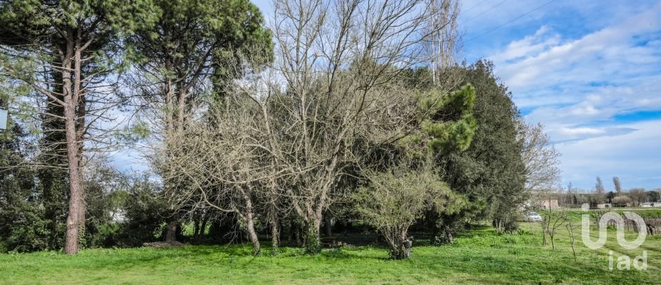 Casa indipendente / Villa 7 locali di 184 m² in Codigoro (44021)