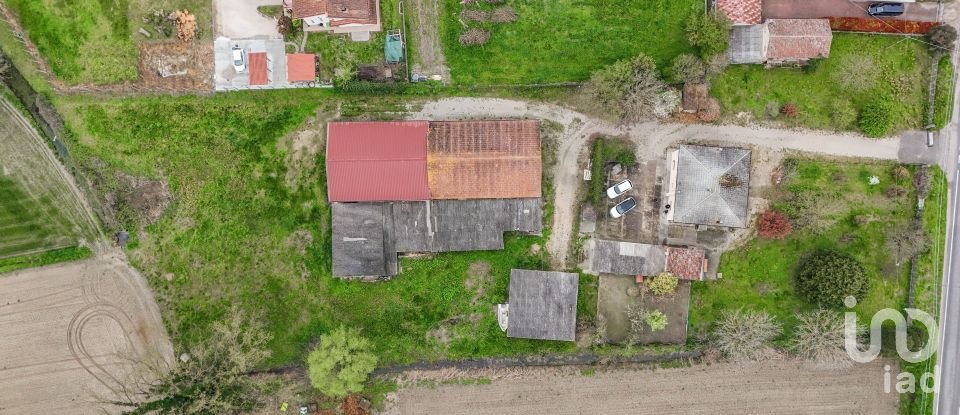 Casa indipendente / Villa 8 locali di 517 m² in Gaiba (45030)