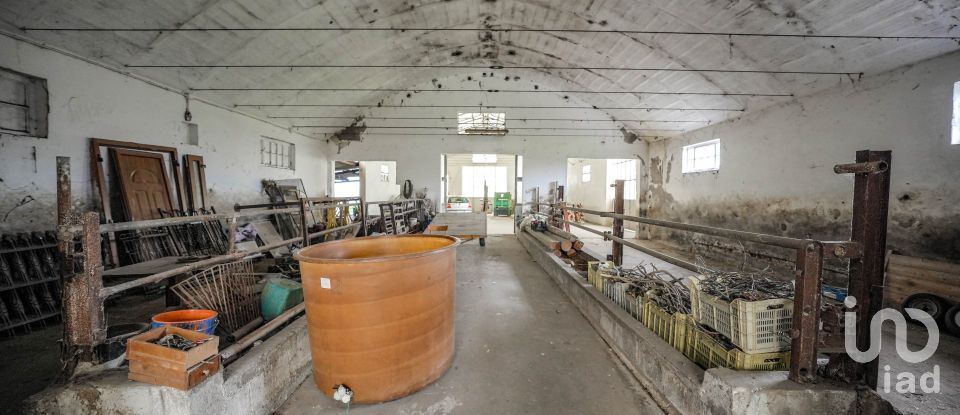 Casa indipendente / Villa 8 locali di 517 m² in Gaiba (45030)