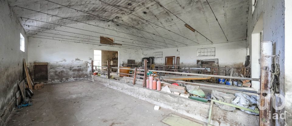 Casa indipendente / Villa 8 locali di 517 m² in Gaiba (45030)