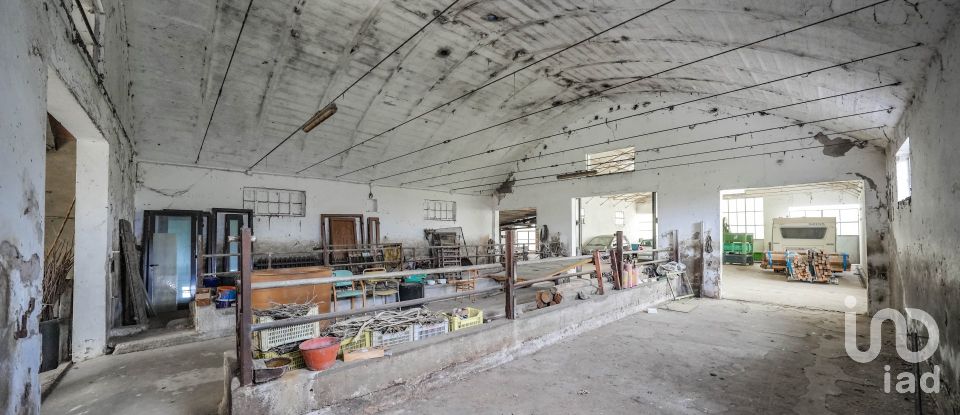 Casa indipendente / Villa 8 locali di 517 m² in Gaiba (45030)