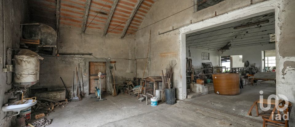 Casa indipendente / Villa 8 locali di 517 m² in Gaiba (45030)