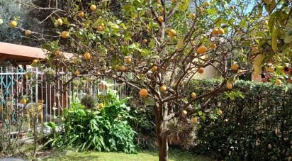 Apartment 6 rooms of 99 m² in Arenzano (16011)